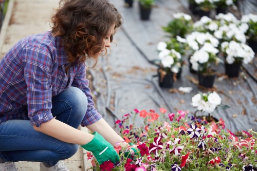 Garden maintenance team pruning beds in urban courtyard