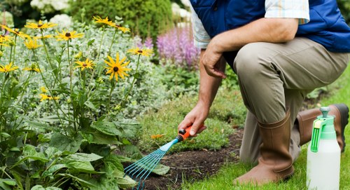 Operative receiving hands-on training for hedge trimmer use