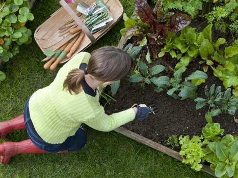 Close-up of trimmed hedge edge with gardening shears in a Hammersmith garden