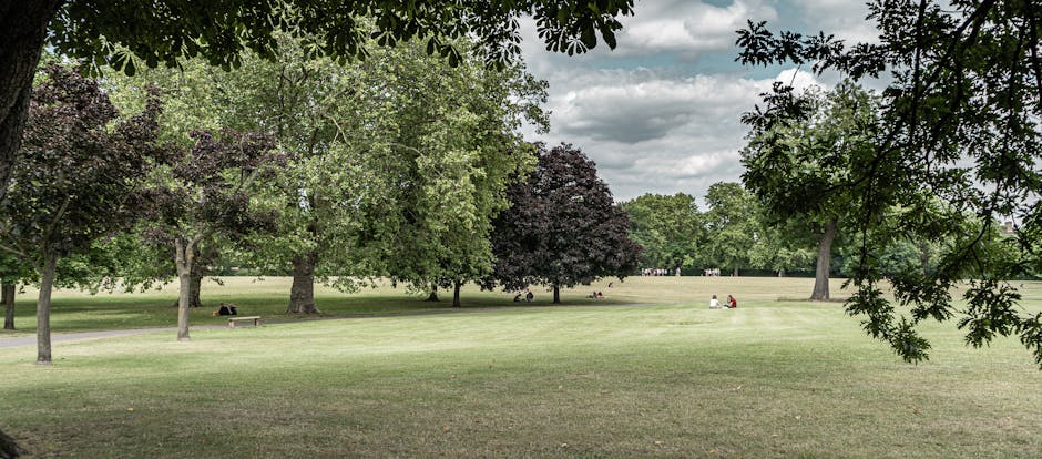 A broad, open grassy area within Ravenscourt Park, featuring well-maintained, lush green lawns bordered by a variety of mature trees with dense foliage in shades of green, burgundy, and dark purple. T