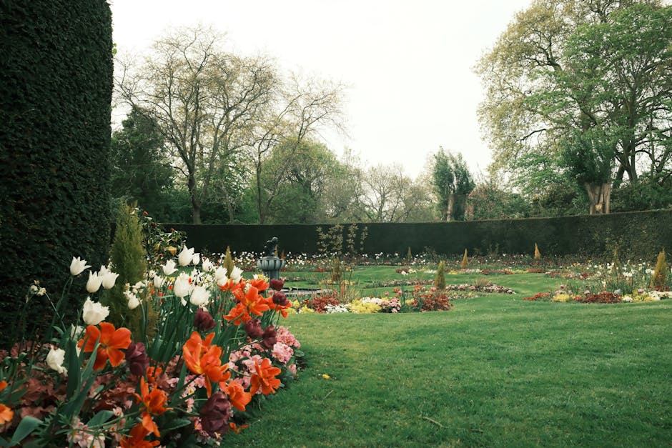 A broad, open grassy area within Ravenscourt Park, featuring well-maintained, lush green lawns bordered by a variety of mature trees with dense foliage in shades of green, burgundy, and dark purple. T